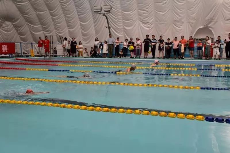 市游泳馆成功举办首届培训学员联谊赛_比赛