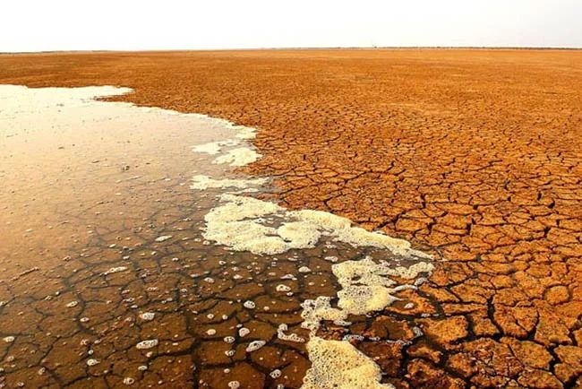 2010年黄河水时隔34年后重新到达刁口河河口1976年5