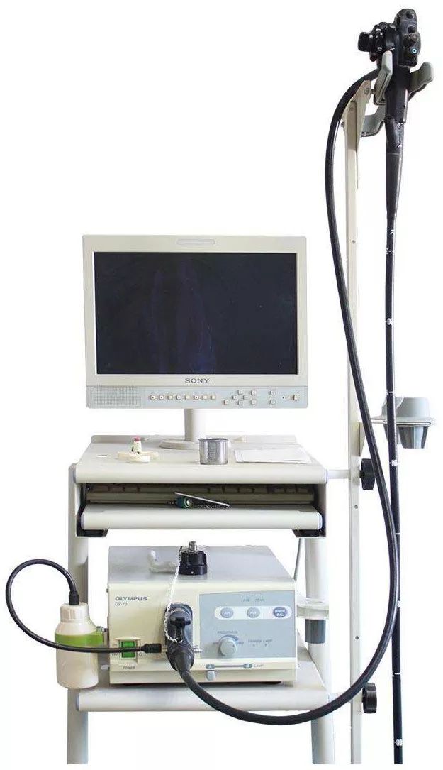 肛门肿物脱出电子肛门镜让一切病灶尽收眼底