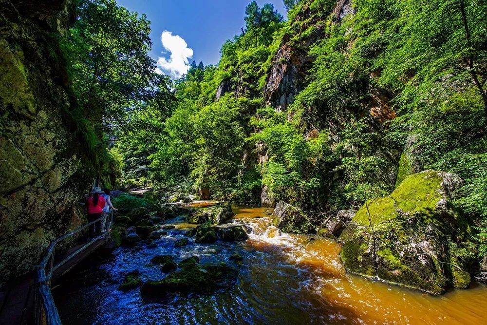 集合后乘正规旅游包车出发,预计中午到达汤旺河国家公园,当天自备午餐