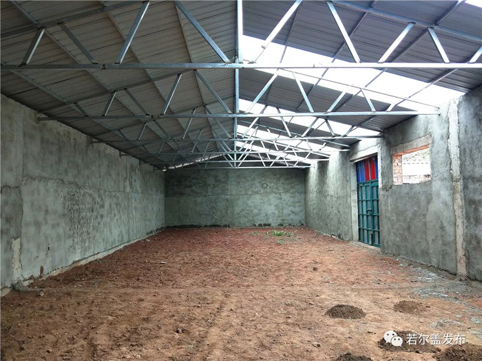 大,现在暖棚修好以后,如果没有草的话可以家养,我们自己储备的有草料