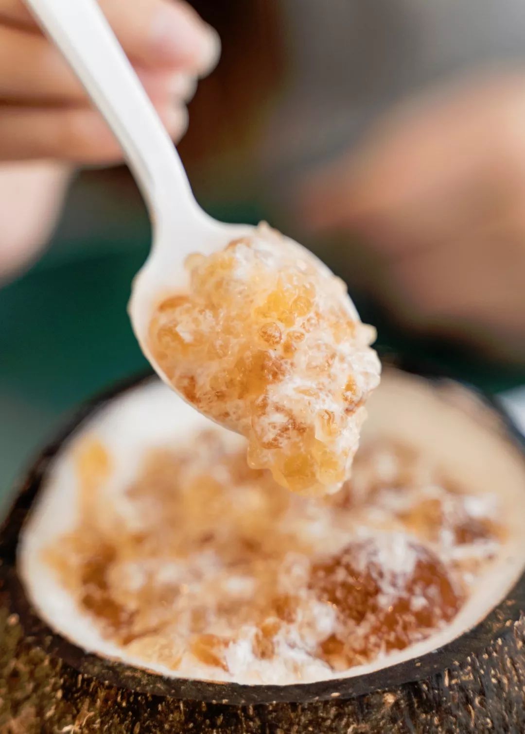 原味椰子冻在不作不会死路上越走越远的我们,还没有放弃要探索的欲望