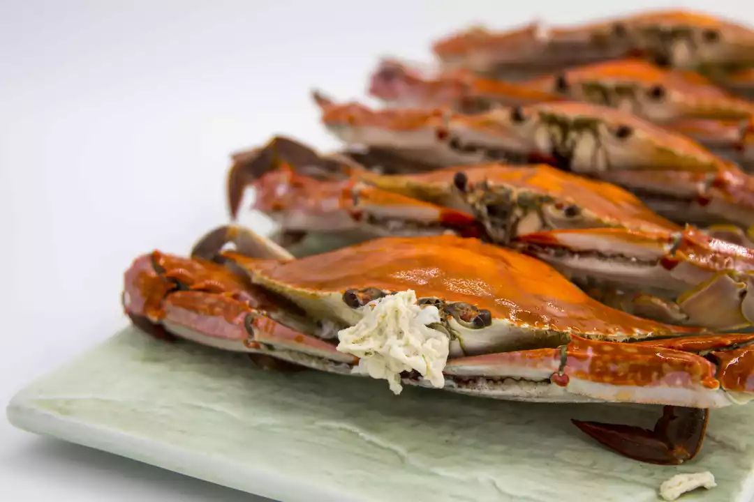 秋日开渔季来象山必吃这十六道菜