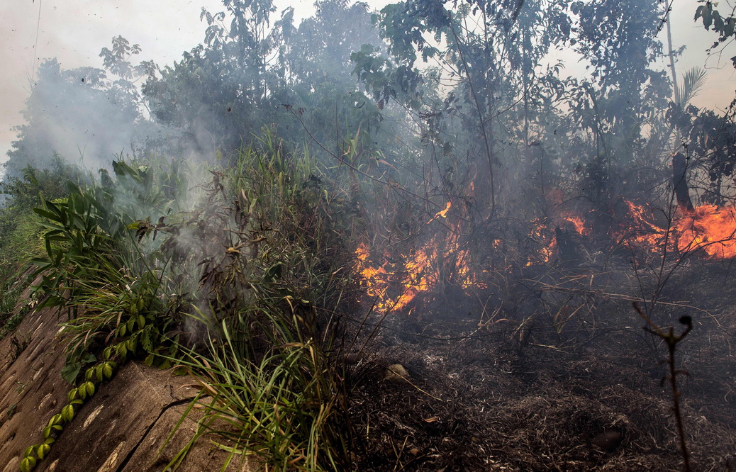 秘鲁农民为毁林开荒焚烧热带雨林