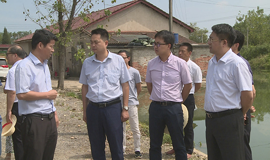 咸宁市生态环境局局长杨龙文,赤壁市副市长钱仕忠陪同调