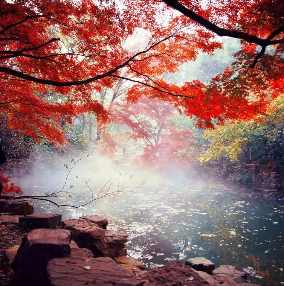 这里是吴国的发源地自古人才辈出山水秀美