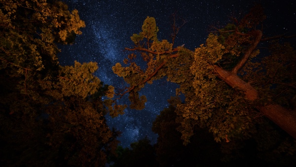 中国企业的高质量发展道路怎么走?美的集团2019年半年报给答案-家电圈官网