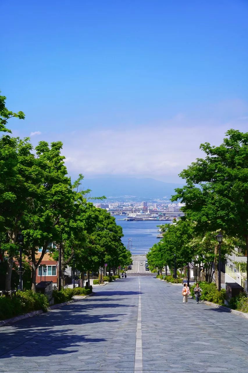 青春是一场夏日祭