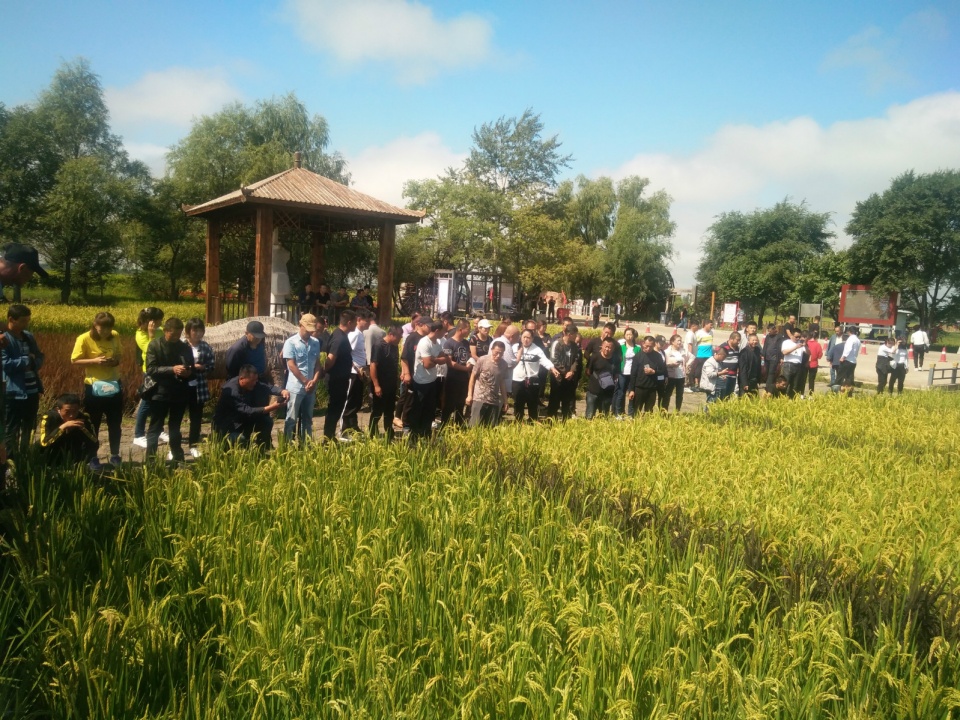 广大学员参观牡丹江农科院大豆玉米水稻基地