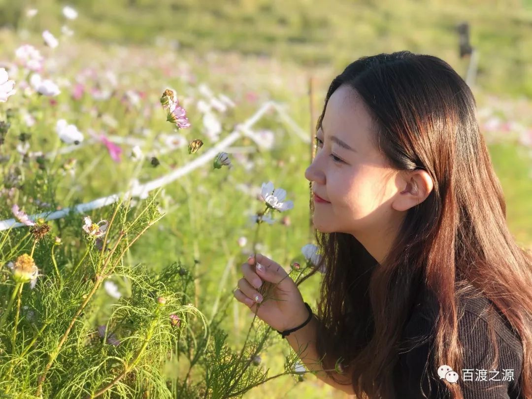 涞源县美女在哪图片