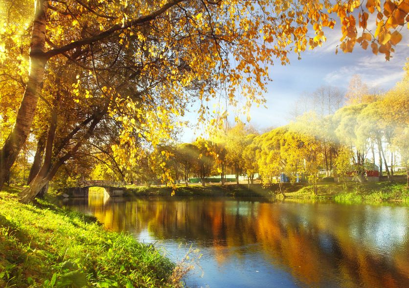 秋蝉》秋意正浓_曲获