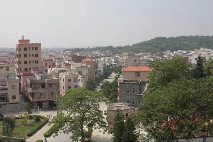 南沙区大井村旧改规划调整征询意见亮点颇多