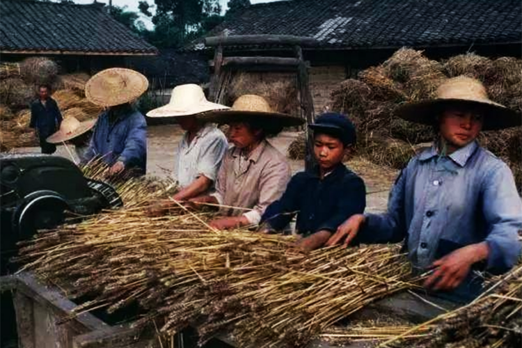 老照片80年代農村的生活記憶只有從農村走出來的人才能看懂