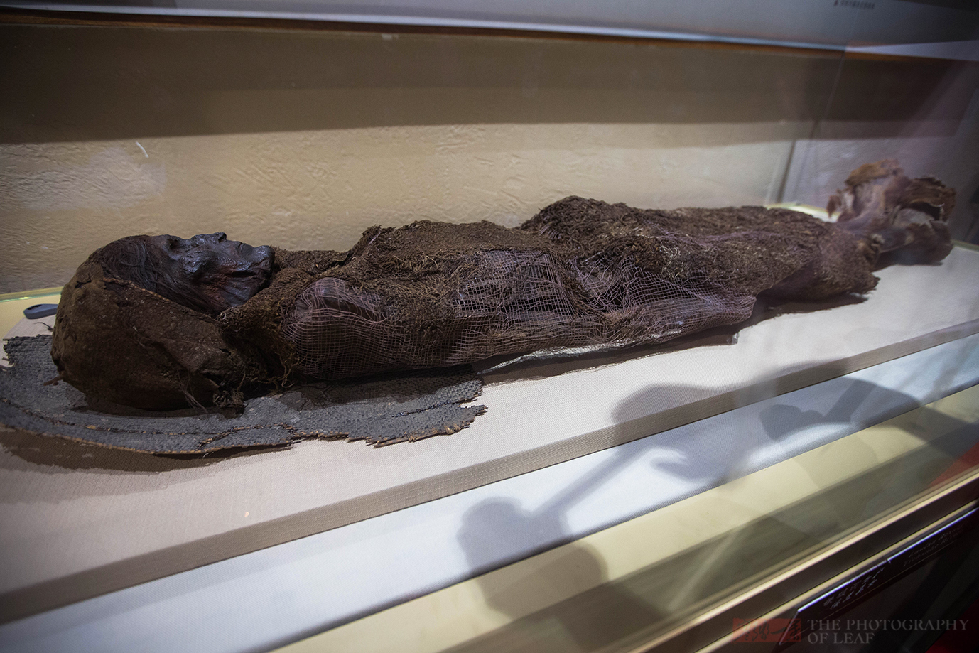 探寻新疆楼兰美女古尸3800年的干尸跟刚睡下的一样