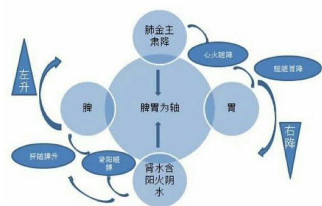 一气周流有中医人体气机圆运动机制