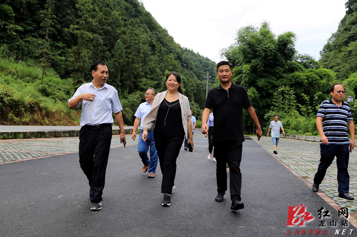县委副书记,代理县长时荣芬查看乌龙山大峡谷景区游道建设情况听取