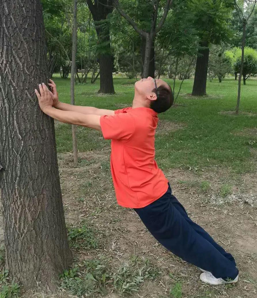 武术绝艺珍品 "回回十八肘"简介 权成