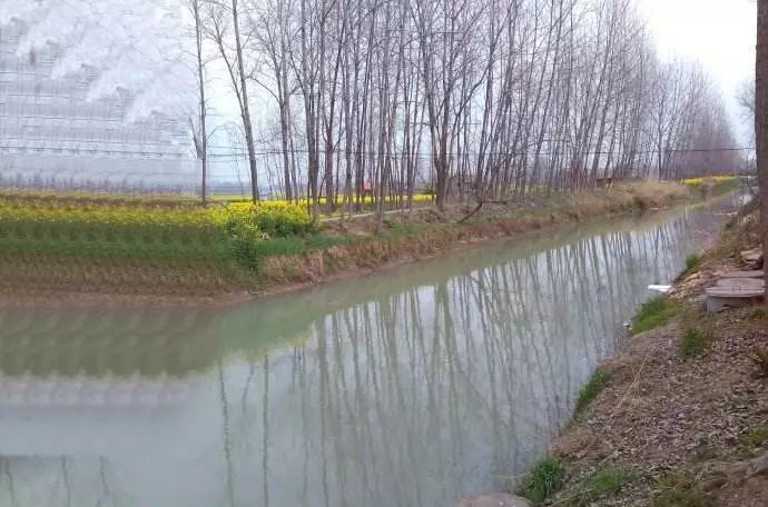 千年流淌的子婴河你究竟是一个怎样的地方