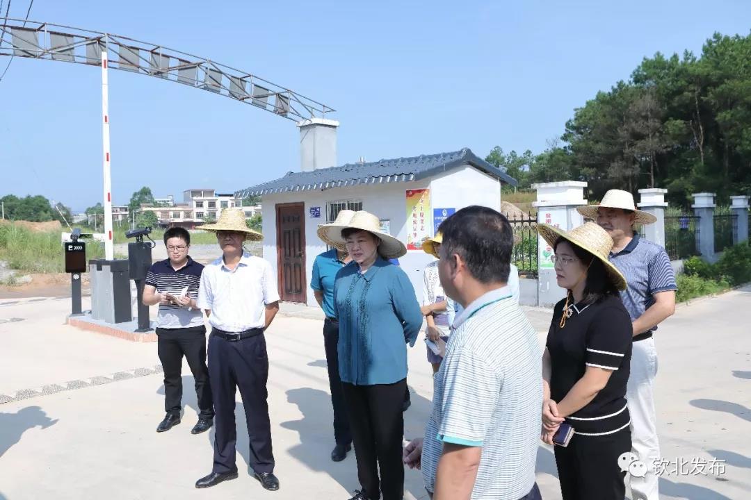 广西钦州大直镇名人图片