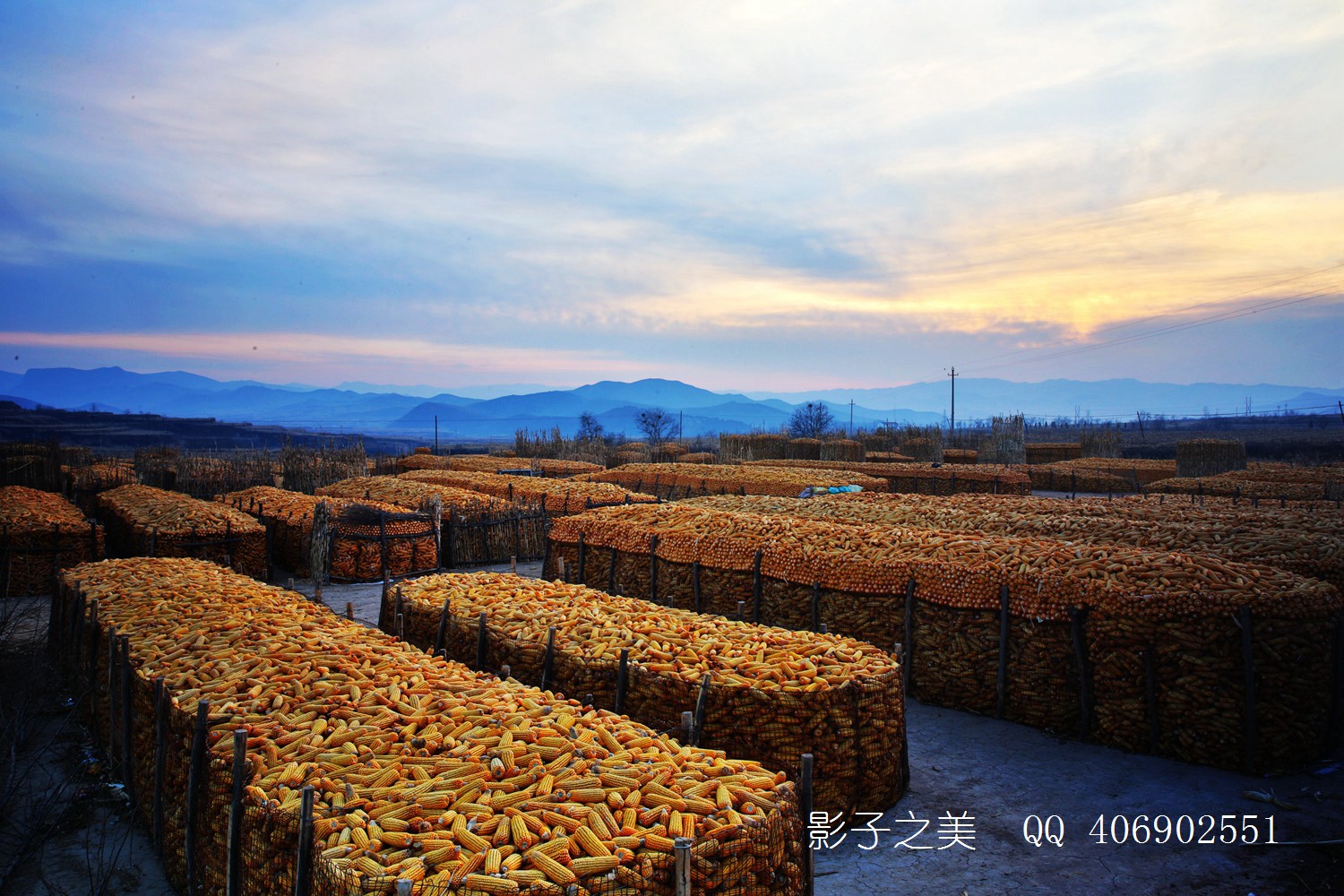 金秋丰收田野看风景