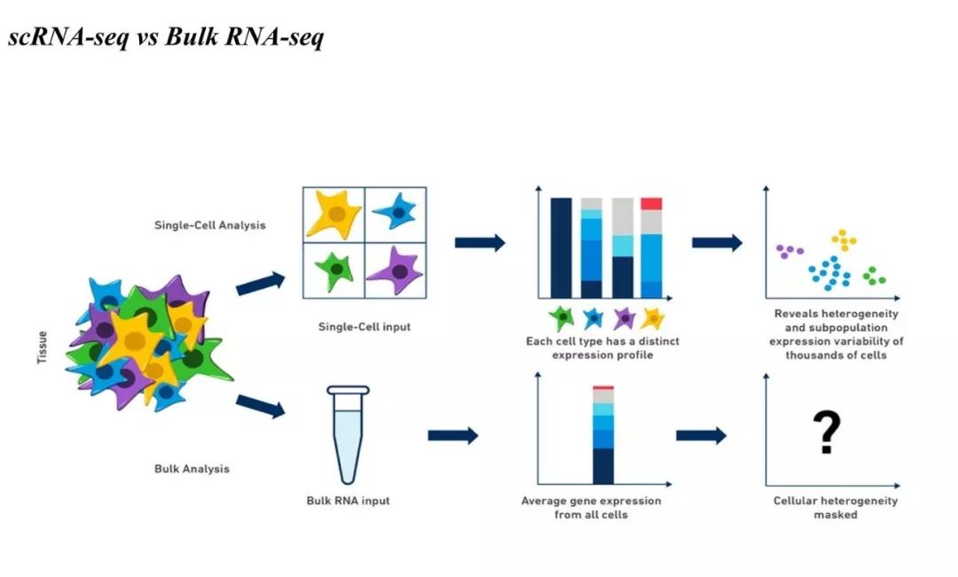 单细胞测序示意图图片