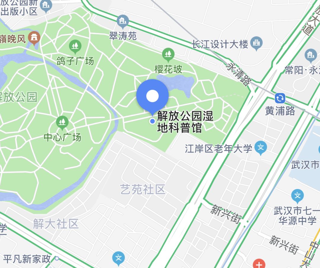 武汉市解放公园路线图图片