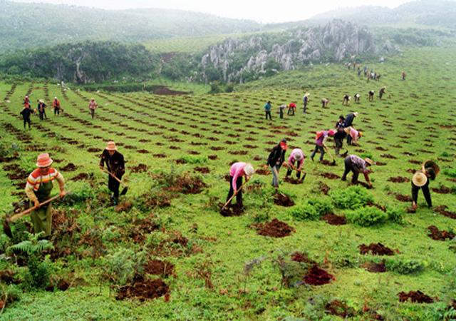 贵州省退耕还林年生态效益价值超840亿元