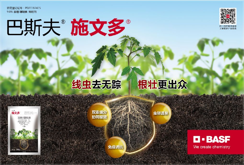 中医秘方——‘益气养阴’的力量