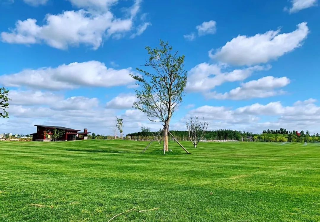 秋日之彩入华章潍水田园秋韵起