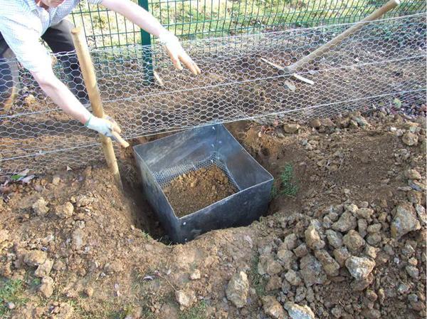 男子在农场防护栏埋下奇怪铁箱,随后捕获让人惊喜的野兔_陷阱