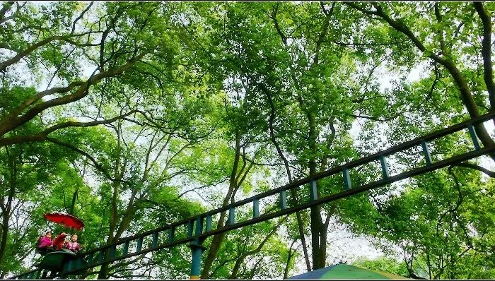 泸州这个地方将建一批城市公园,有游步道,长廊景观···在你家周围吗