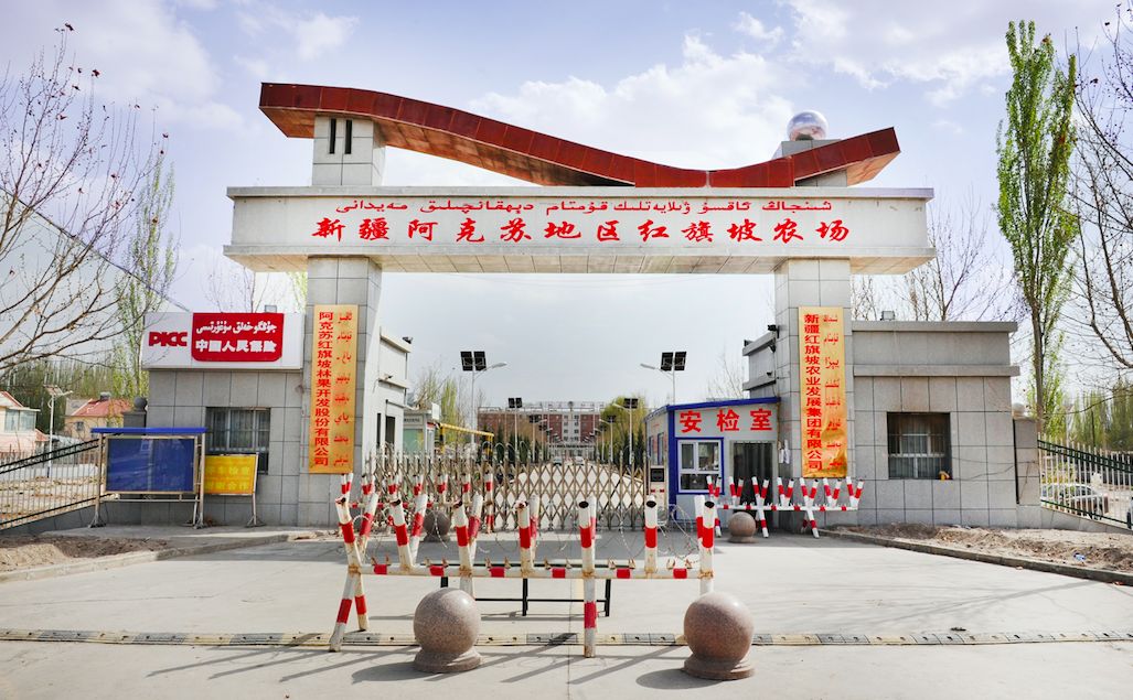 今年的9月,甜到超乎你的想象_红旗坡