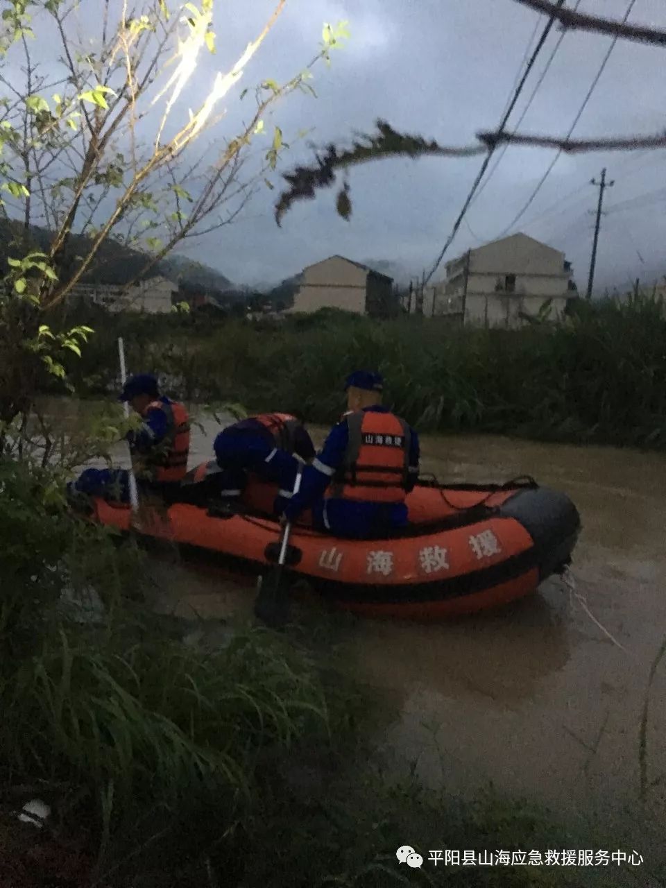 平阳麻步镇碎尸案图片