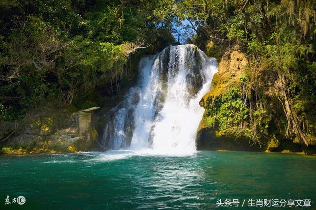 生肖屬豬的人,8月底賺得盆滿缽餘,運勢出奇的好,事業順利生活如意