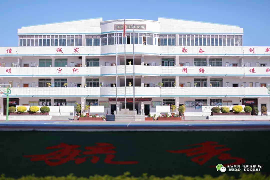 【校园风采】金井镇岱峰中心小学:岱园风华 严诚勤创