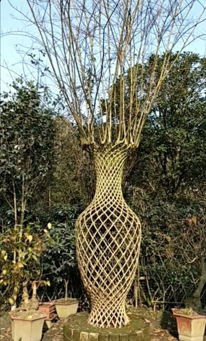 古董级紫薇花瓶