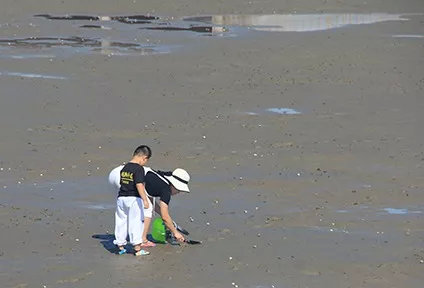红海滩赶潮亲子活动圆满成功