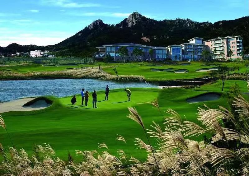 【亚太百佳打评】人民评委又出发 威海石岛湾 威高温泉高尔夫_球场