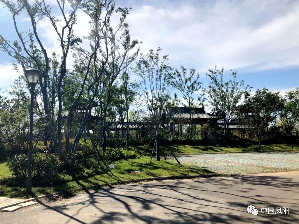 凤阳又新添一处公园风景如画位置就在