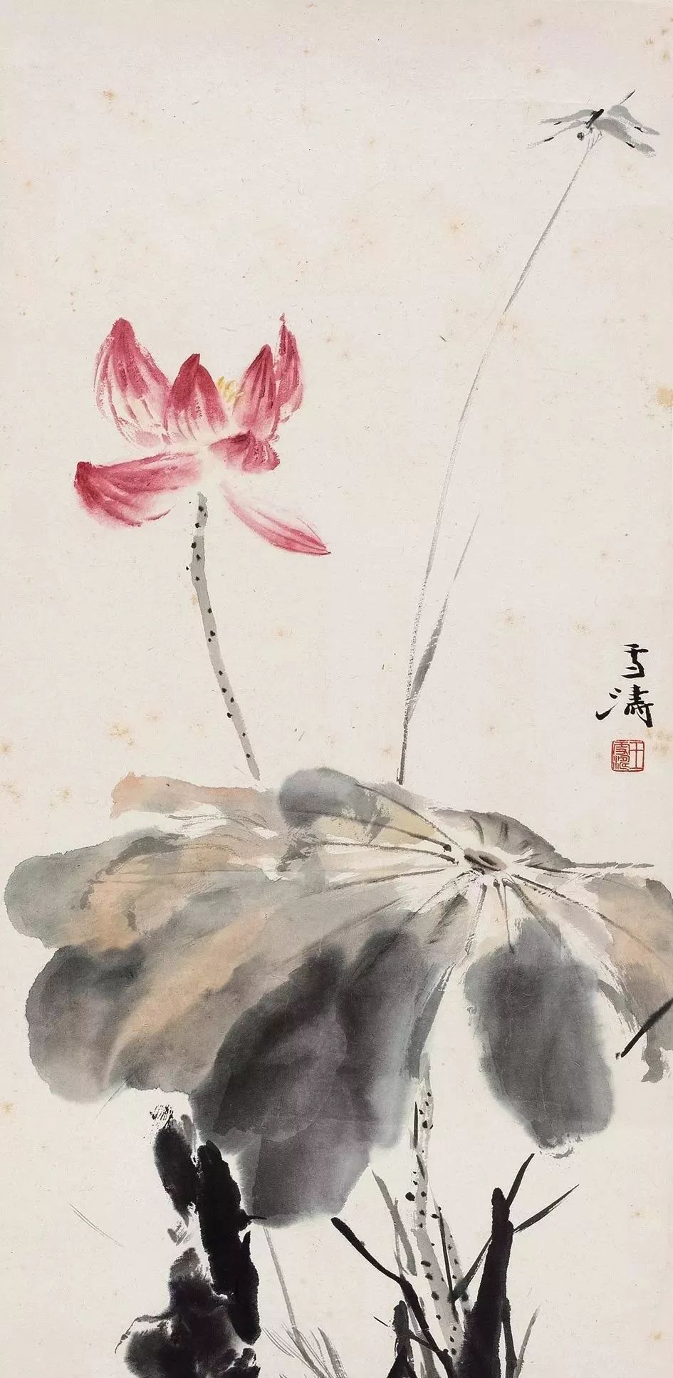 名家笔下的荷花蜻蜓