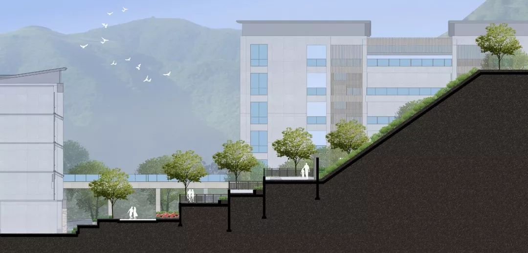 寿宁中学 | 山地校园,山林之间读书声_建筑