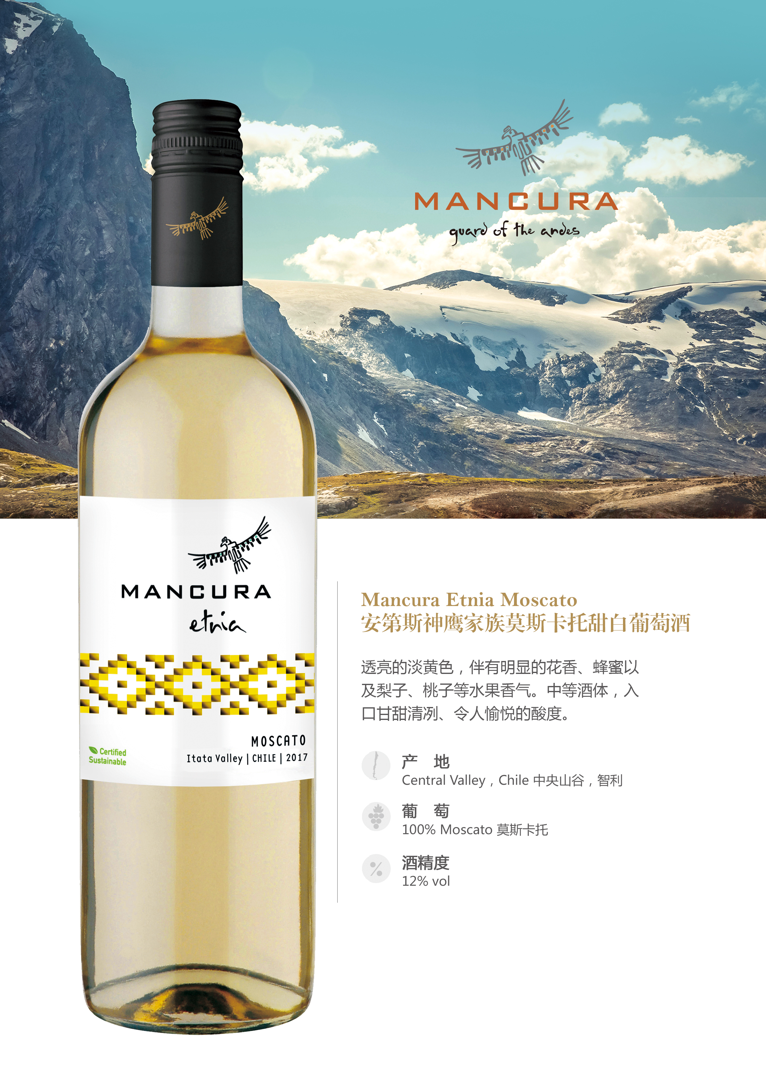 智利知名酒庄 安第斯神鹰 Mancura Valley