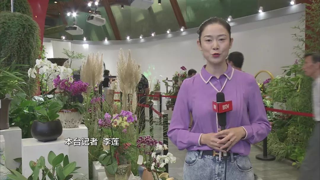这场"特别"的盆栽和压花艺术展,您一定不要错过!_北京