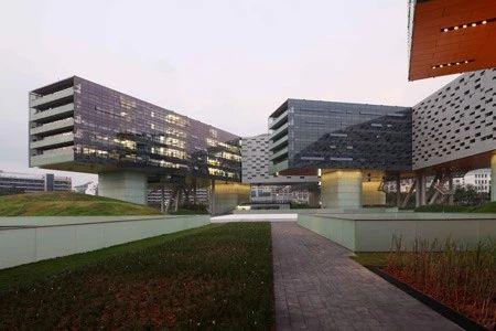 建筑师李虎城市中的自然之子