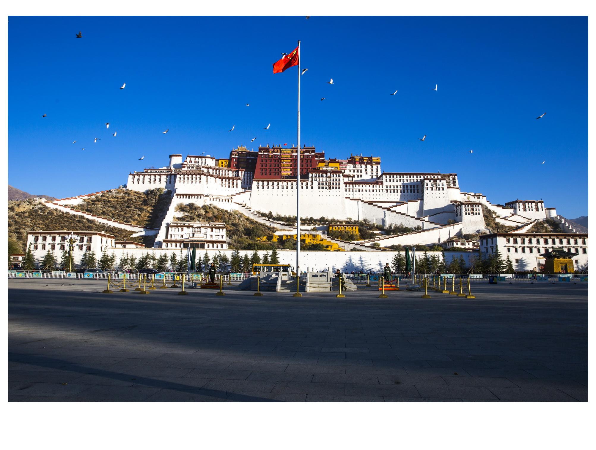 游客跑去看厕所,300年拉不满,这是什么神奇厕所?_布达拉宫