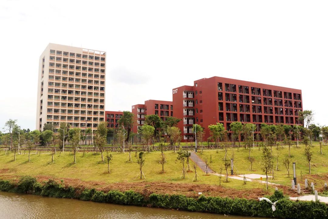 南区远景伫立在仙溪桥上,抬头望去,便可看见一排排整齐的新宿舍,南区