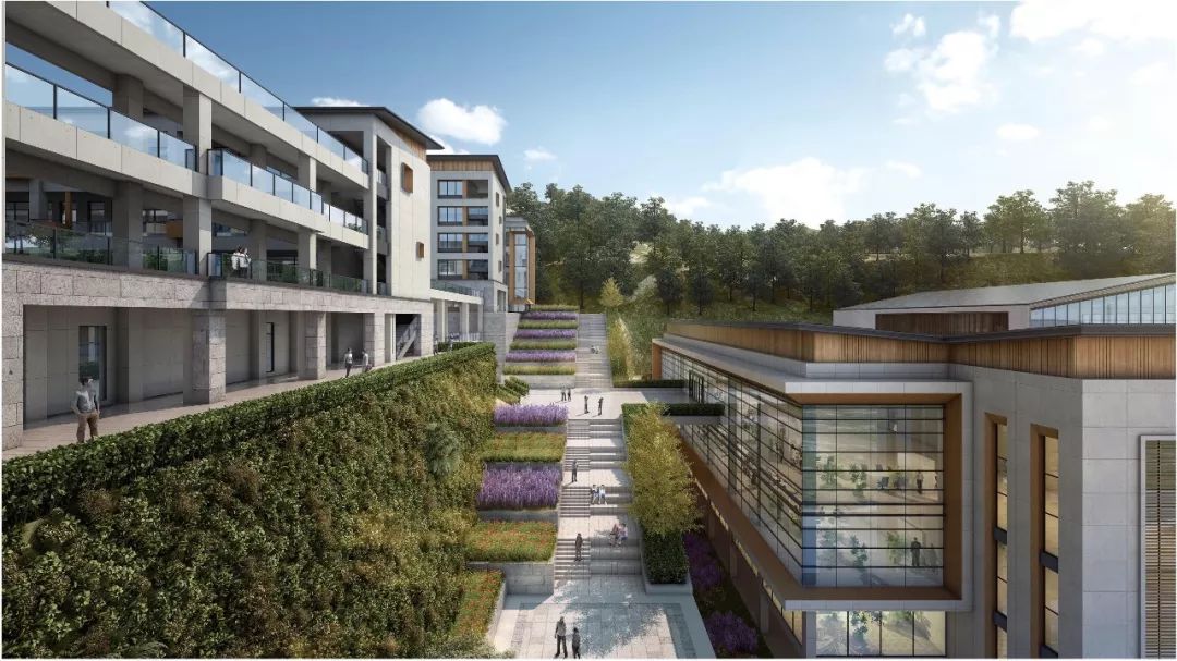 寿宁中学山地校园山林之间读书声