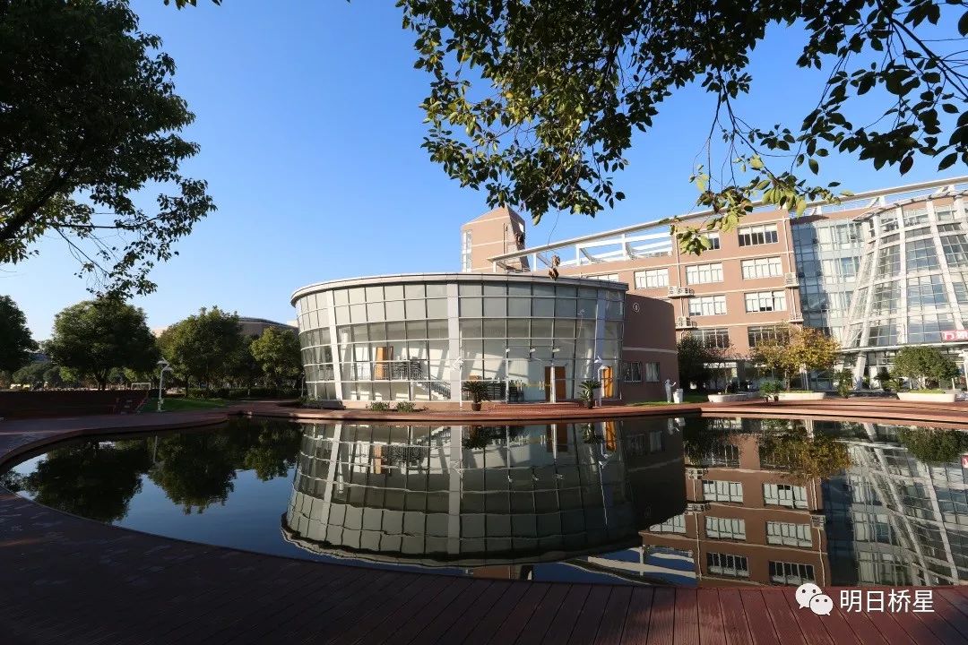 桥牌进校园上海市实验学校桥牌社