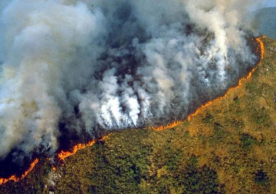 震惊亚马逊雨林这场大火到底有多大