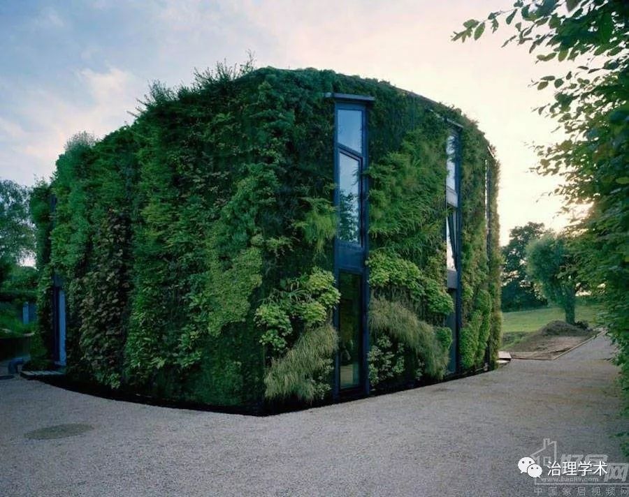 治理与反思城市绿色空间的分类态度和使用